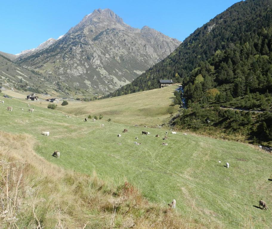 Hotel Peretol Soldeu Dış mekan fotoğraf